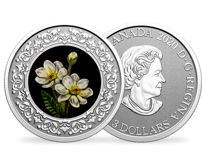 Kanadische 3 Dollar Silbermünze "Nordwest-Territorien - Weiße Silberwurz"
