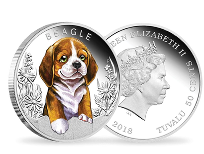 Monnaie en argent pur colorisé «Chiot - Beagle» 2018