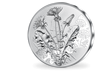 10-Euro-Münze in Silber "Der Löwenzahn" 2022 (hgh)
