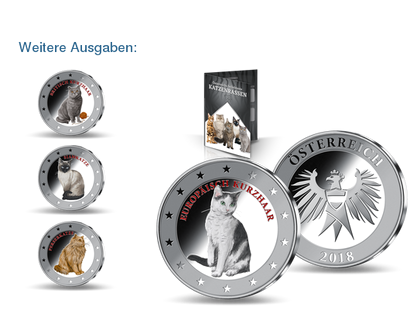 Die Europäische Kurzhaar-Katze in edlem Silber mit hochwertigem Relief-Farbdruck