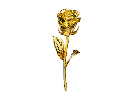 Une véritable rose naturelle, dorée à l'or pur 24 carats