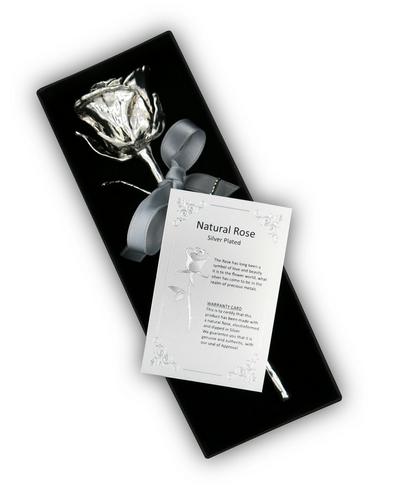 Das Symbol der Liebe als edle Silber-Edition: Echte Rose mit einzigartiger Silber-Veredelung (16cm)