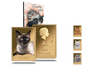 Die Siamkatze geehrt auf Goldbarren-Münze mit brillanten Farben