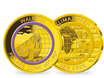 Die Gold-Gedenkprägung „Walross – polare Zone“ mit violettem Farbring