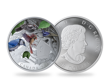Kanada 2019 Silbermünze ''Bunte Vögel im Hintergarten''