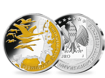 Die 10-Euro-Münze 