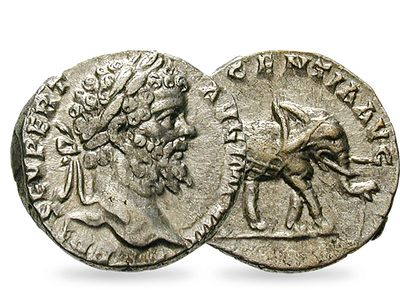 Ein Elefant für den Kaiser in Rom − Septimius Severus, Denar 196/197