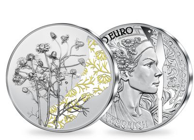 10-Euro-Silbermünze 2023 "Die Kamille" mit Teilkolorierung 