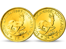 2er Set - Die ersten Gold-Rands von 1961 - 1983