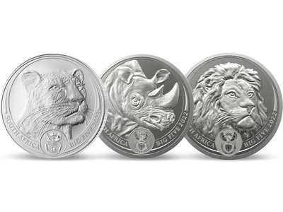 Südafrika 2022 + 2023: Ausgewählte 1 Unzen Silbermünzen (Big Five II)