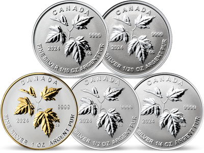 Einzelartikel: Kanada Silber Maple Leaf Komplett-Set 2024