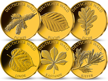 Das 6er Komplett-Set der 20-Euro-Goldmünzen 