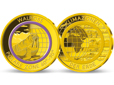 Die Gold-Gedenkprägung „Walross – polare Zone“