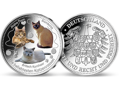 3 Unzen-Silberprägung „Die beliebtesten Katzenrassen“