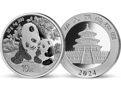 China - Silber-Panda