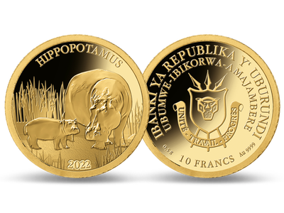 Monnaie en or pur «Hippopotame» 2022