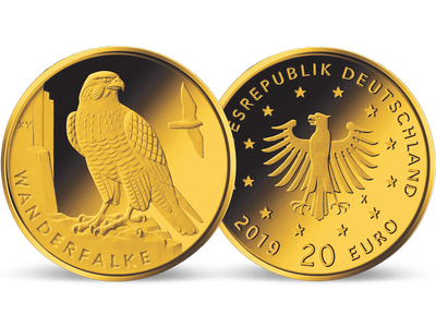 Die deutsche 20-Euro-Gold-Gedenkmünze 