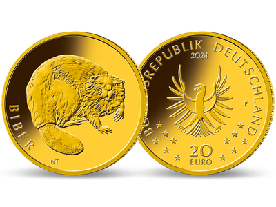 Die offizielle deutsche 20-Euro-Goldmünze 2024 