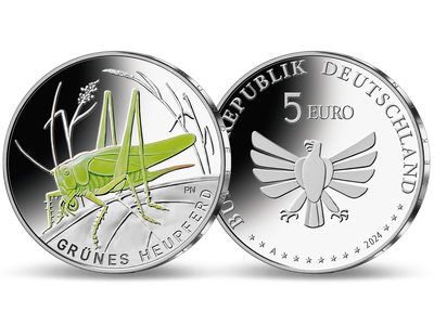 5-Euro-Münze 2024 