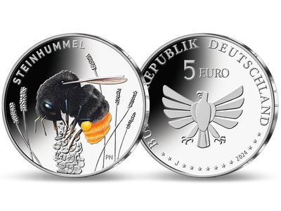 5-Euro-Münze 2024 