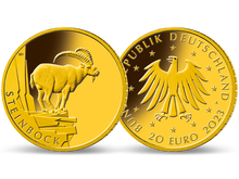 Die deutsche 20-Euro-Goldmünze 2023 
