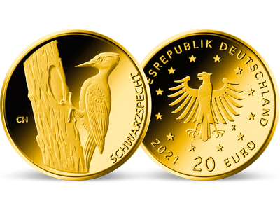 Die deutsche 20-Euro-Goldmünze 