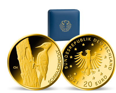 Die deutsche 20-Euro-Goldmünze "Heimische Vögel - Schwarzspecht" 2021