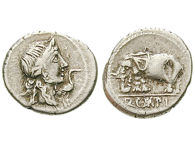 Die Kriegselefanten Hannibals − Römische Republik, Denar 81 v.Chr.