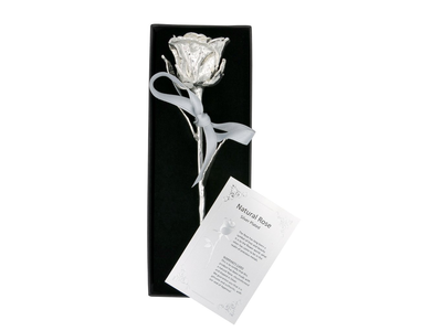 Das Symbol der Liebe als edle Silber-Edition: Echte Rose mit einzigartiger Silber-Veredelung (27cm)