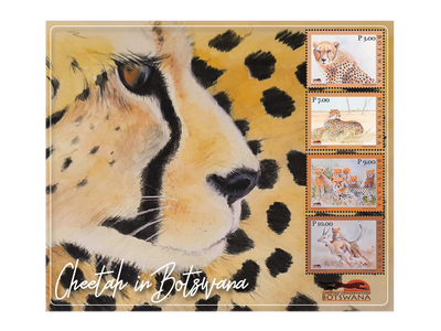 Briefmarkenblock aus Botswana zeigt Geparde