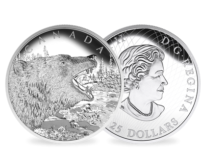 Kanada 125-Dollar Silbermünze 'Brüllender Grizzlybär'