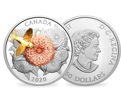 Kanada 2020 "Fliegender Kolibri"