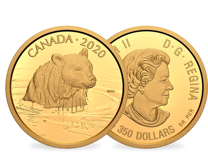 Kanada 2020 Canadian Wildlife Portraits "Grizzly Bär"