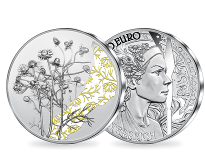 10-Euro-Silbermünze 2023 "Die Kamille" mit Teilkolorierung 