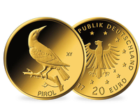 20-Euro 