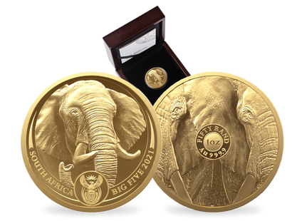 Südafrika 2021: Goldmünze "Afrikanischer Elefant 2021", 2. Serie