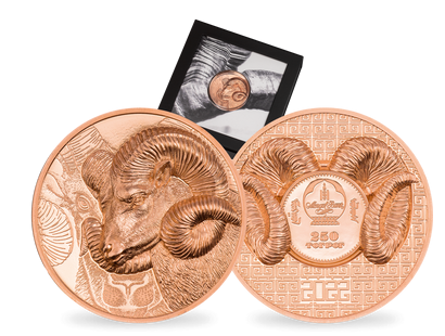 Monnaie en cuivre « Le magnifique Argali» Mongolie 2022