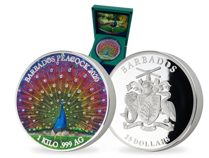 Monnaie de 1 kilo en argent pur colorisé «Paon» Barbade 2020