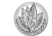 Frankreich 2021: 20 Euro-Silbermünze "Natur Frankreich - Der Lorbeer", Ag, PP