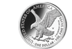 1 Unze "Silver Eagle" 2023 aus den USA