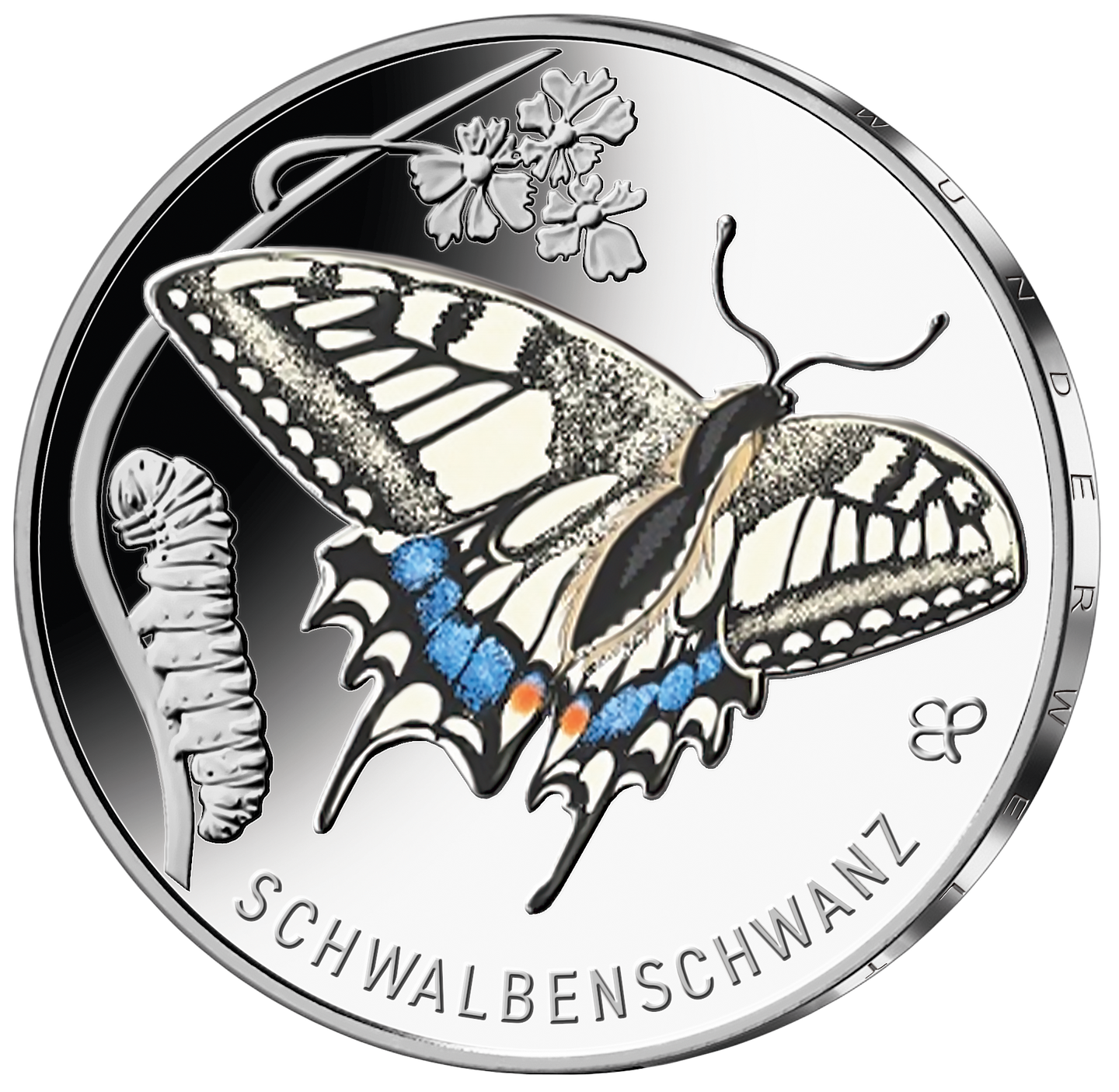 Schwalbenschwanz