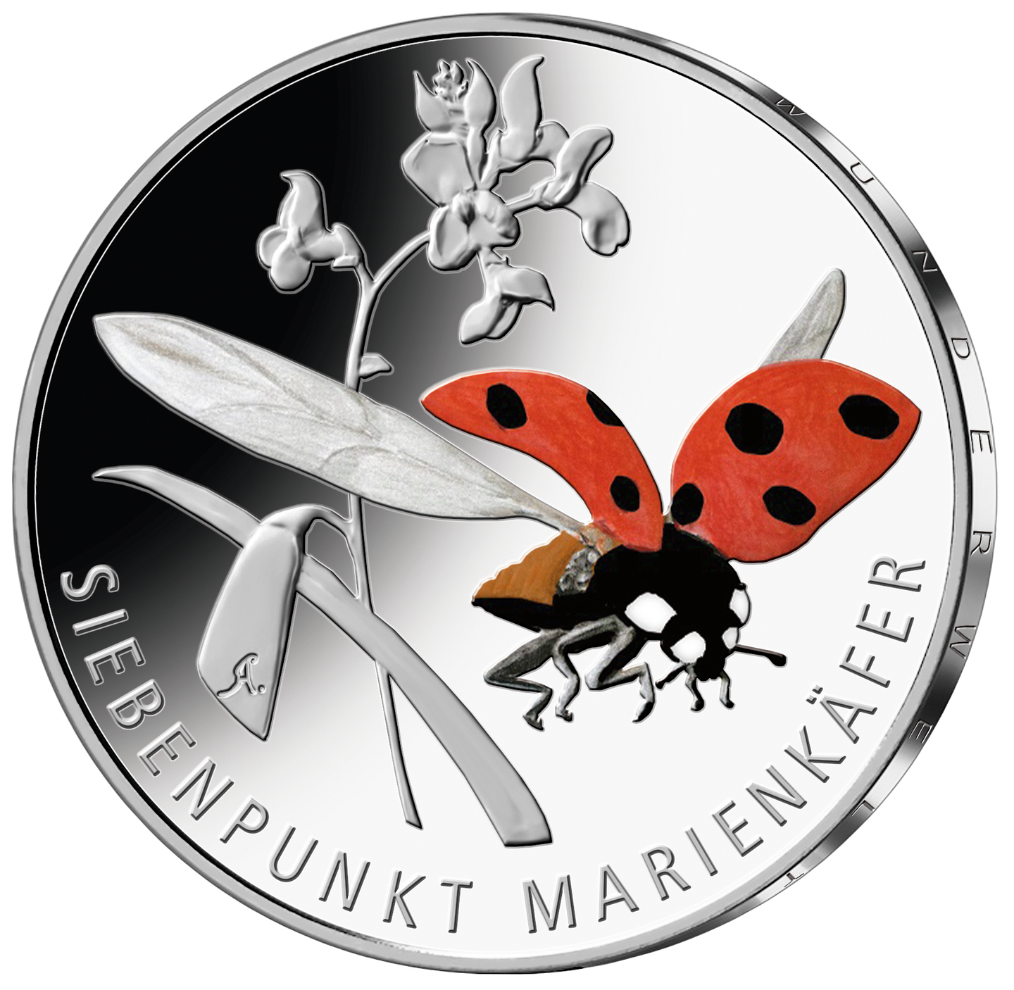 Marienkäfer