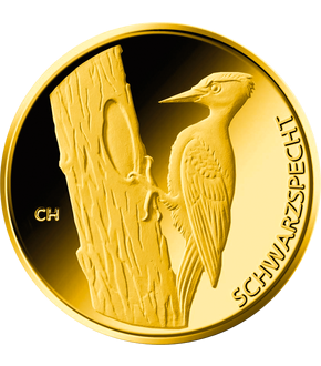 Die deutschen 20-Euro-Goldmünzen der Serie "Heimische Vögel"