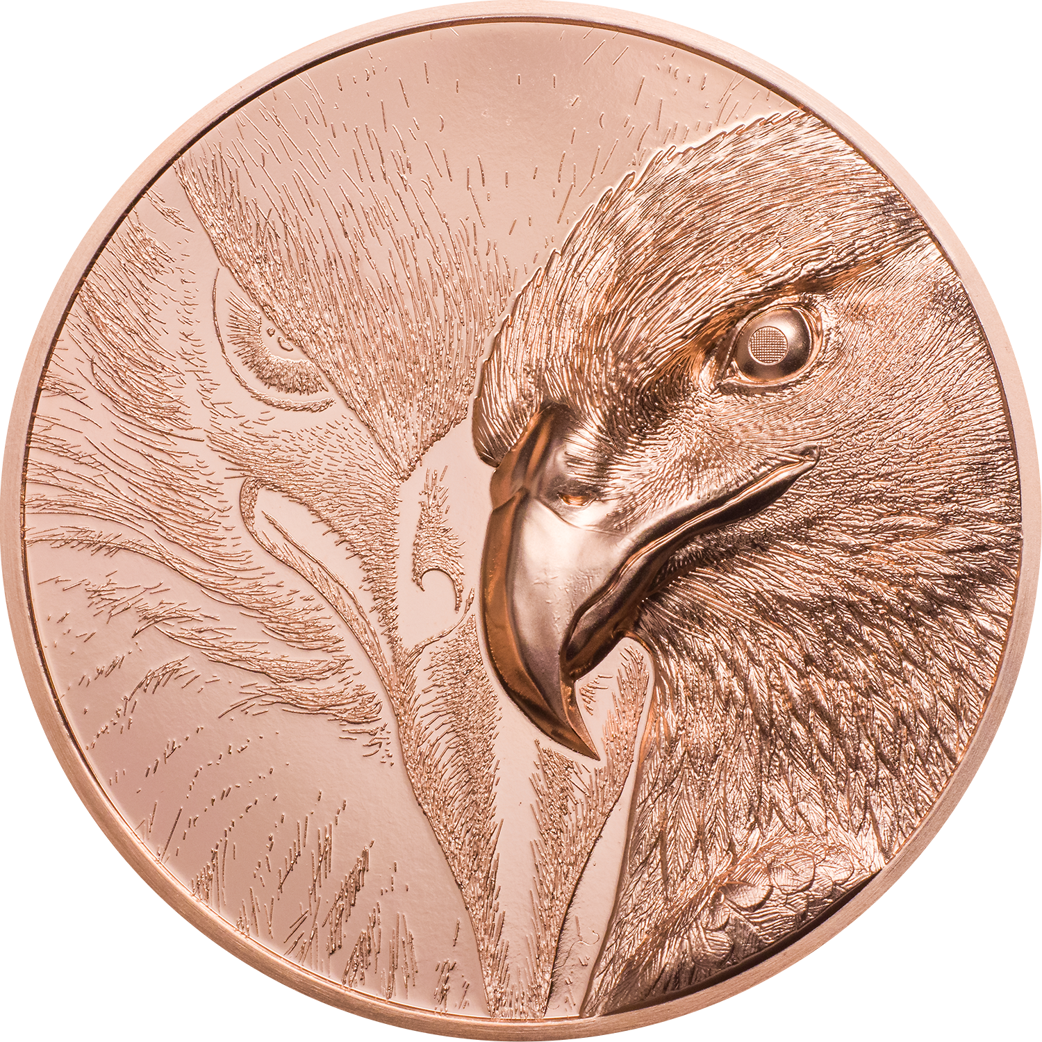 Kupfermünze "Majestätischer Adler" mit Ultra-Hoch-Relief