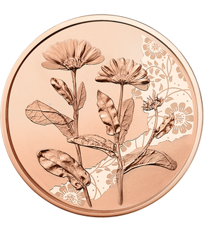 10 Euro Münze "Die Ringelblume" 2022