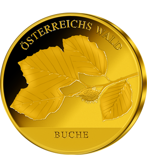 Österreichs Wald: ''Die Buche'' in edlem Gold