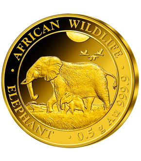 Offizielle Anlagemünze ''African Wildlife - Elefant'' 2022 aus reinstem Gold