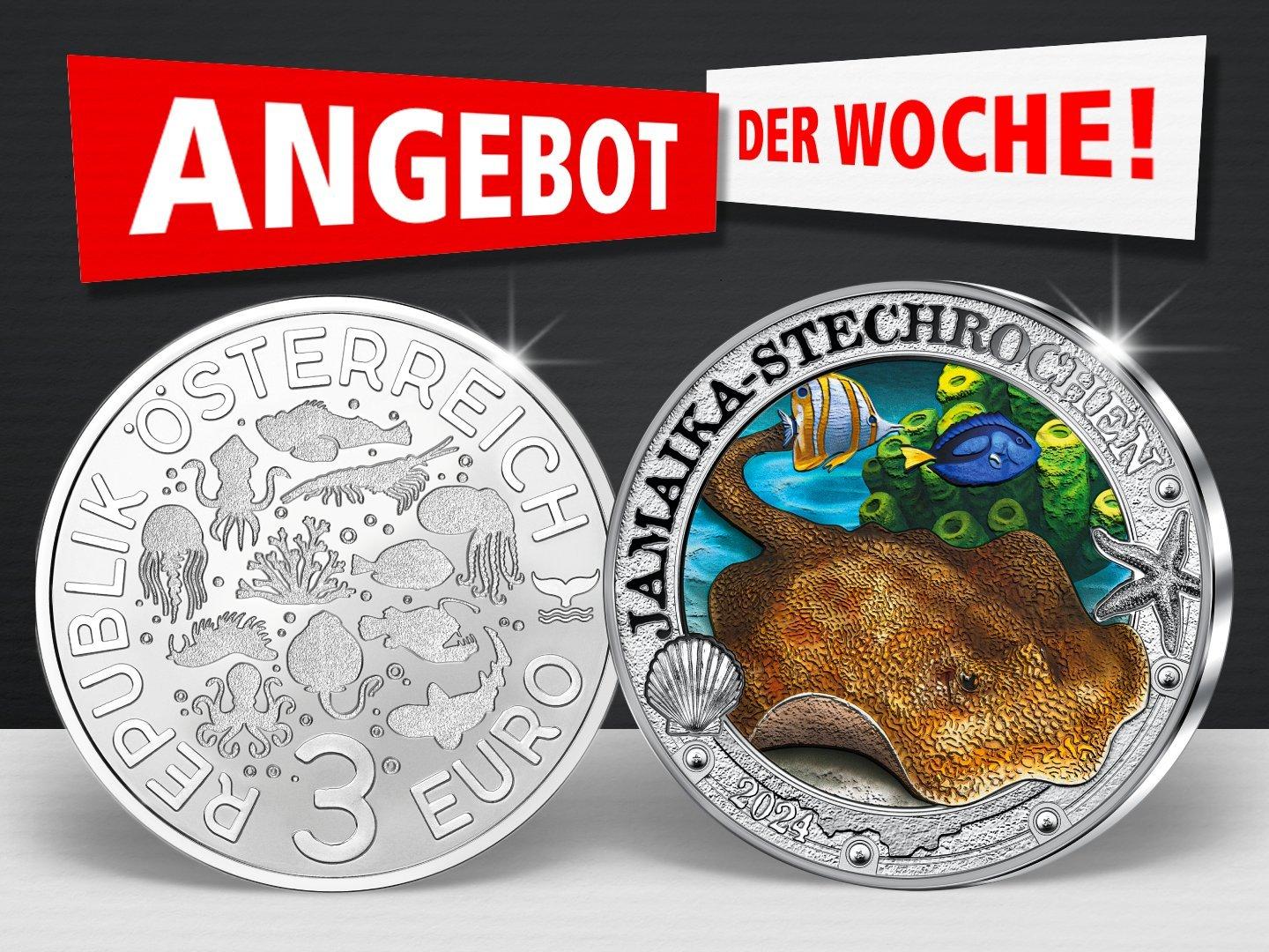 Angebot der Woche - 3 Euro Stechrochen