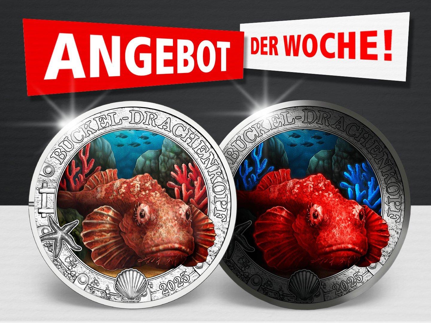 Jetzt das Angebot der Woche sichern!