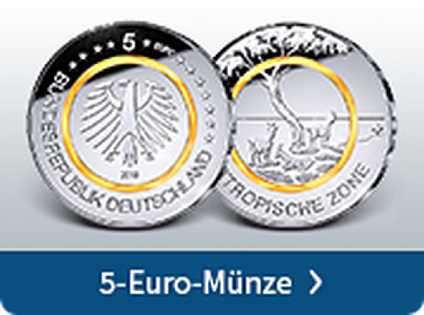 5-Euro-Münze